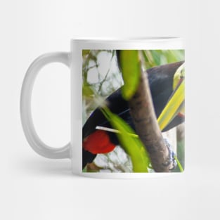 cli my berry tree Mug